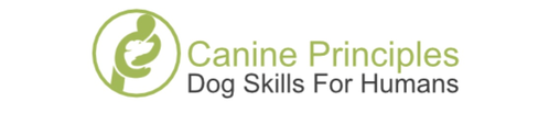 ONLINE Canine First Aid